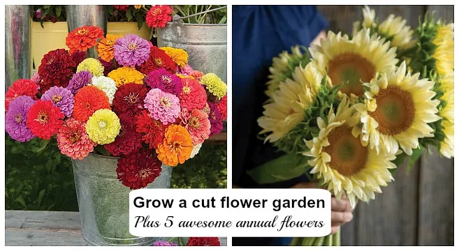 How to Care for Cut Flowers: Insider Tips from a Local Florist