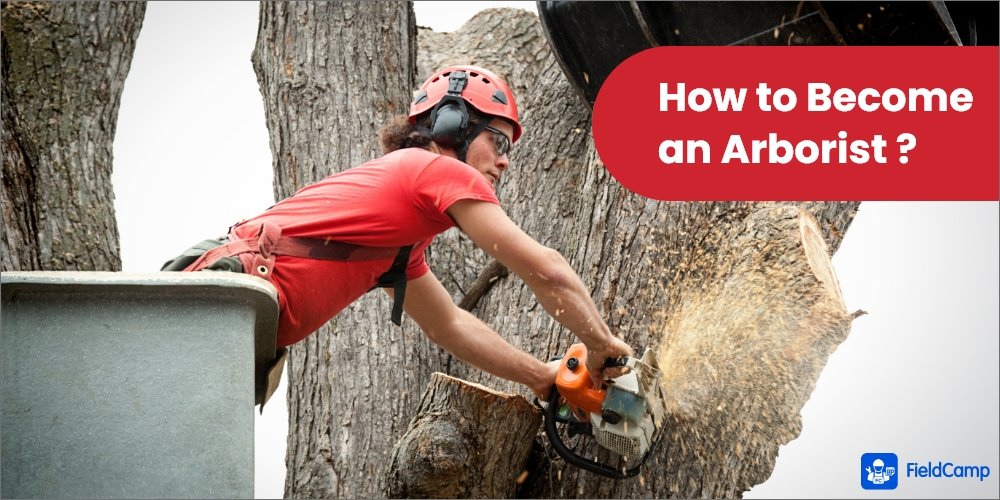How To Become A Tree Removal Contractor: Education And Certification Requirements